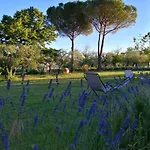 La Fornella Dell'anita * Pelago