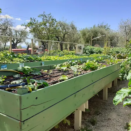 Farm stay La Fornella Dell'anita Pelago