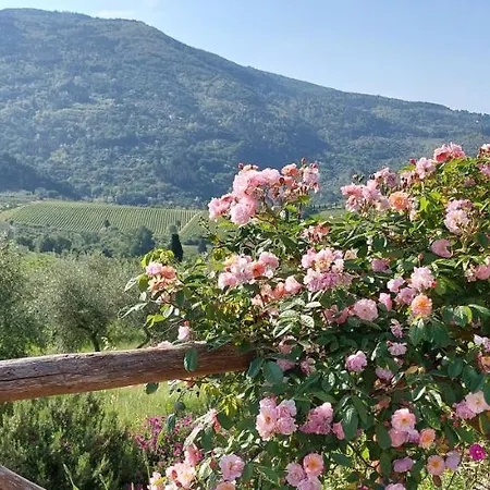 La Fornella Dell'anita *
