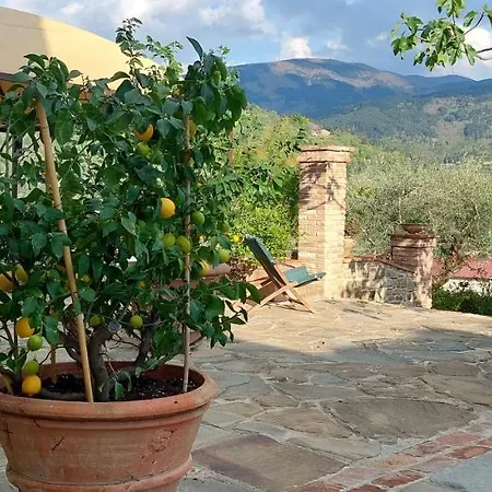 Alloggio per agriturismo La Fornella Dell'anita *