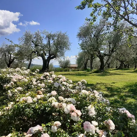 La Fornella Dell'anita