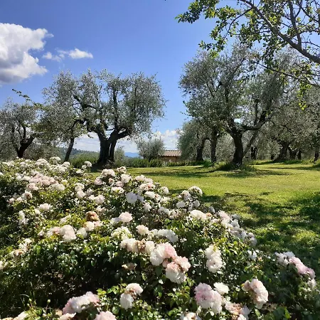 La Fornella Dell'anita