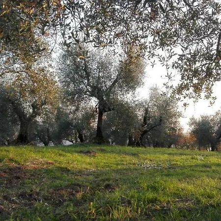 La Fornella Dell'anita Feriegård *