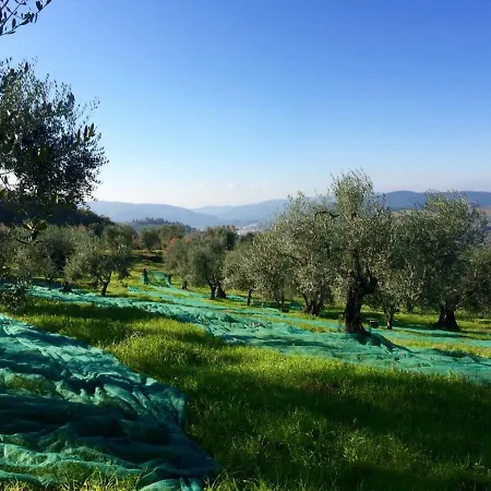 Alloggio per agriturismo La Fornella Dell'anita
