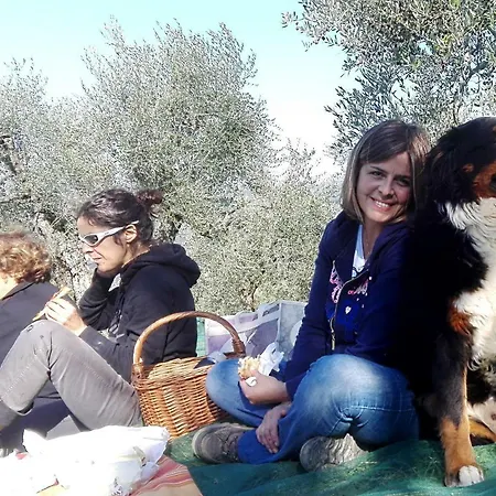 Alloggio per agriturismo La Fornella Dell'anita Pelago