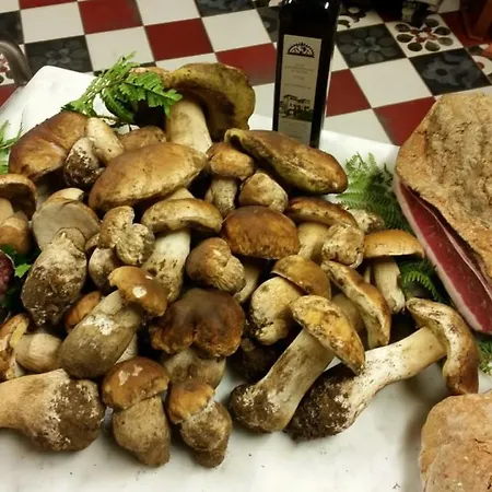La Fornella Dell'anita Alloggio per agriturismo