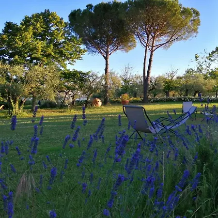 La Fornella Dell'anita * Pelago