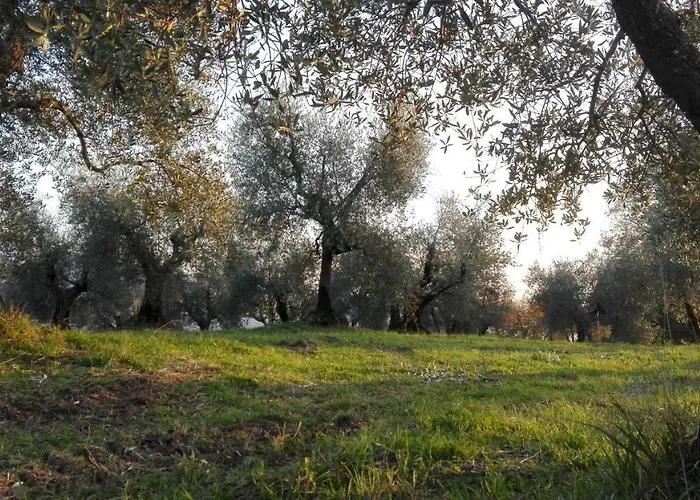 La Fornella Dell'anita Çiftlik konaklama *
