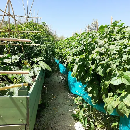 Gospodarstwo agroturystyczne La Fornella Dell'anita *